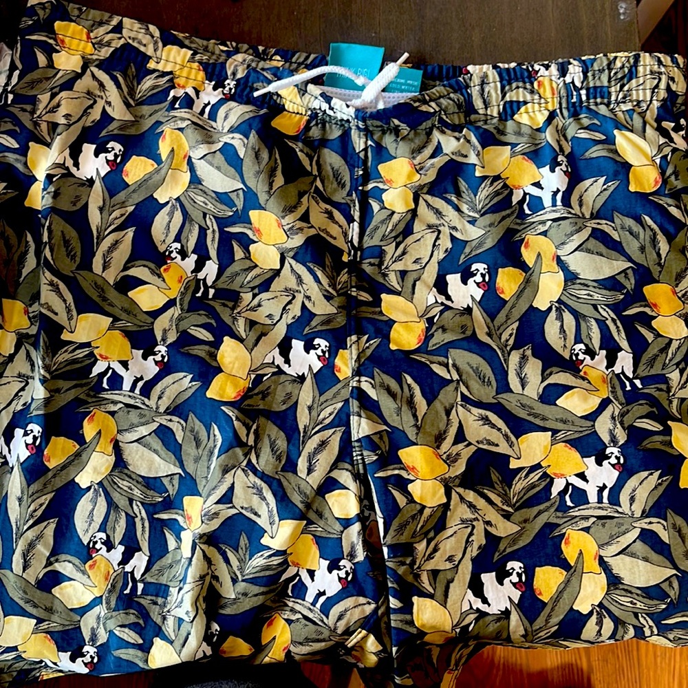 Big dog swim shorts
